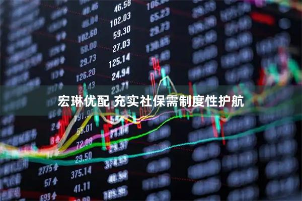 宏琳优配 充实社保需制度性护航