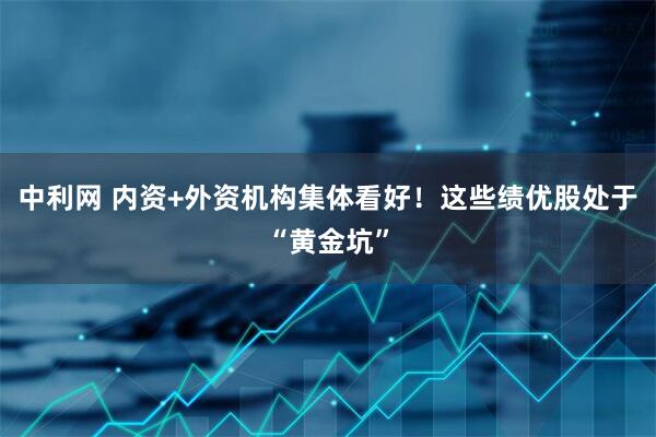 中利网 内资+外资机构集体看好！这些绩优股处于“黄金坑”