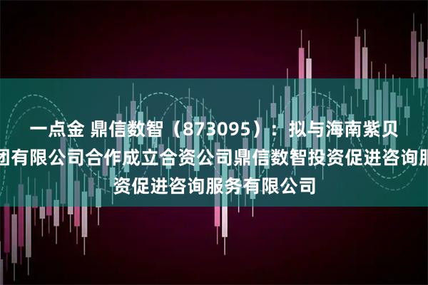 一点金 鼎信数智（873095）：拟与海南紫贝发展控股集团有限公司合作成立合资公司鼎信数智投资促进咨询服务有限公司
