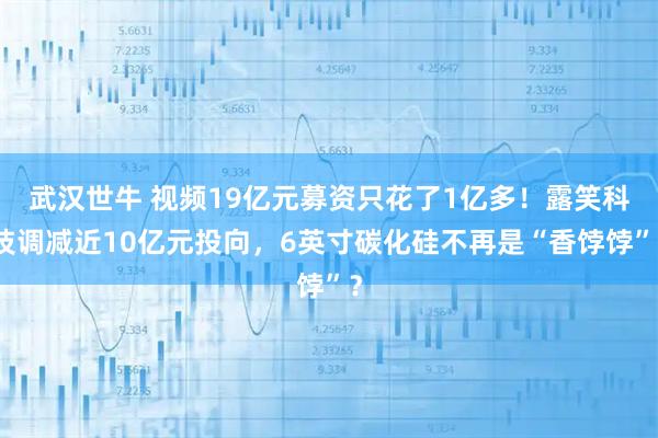 武汉世牛 视频19亿元募资只花了1亿多！露笑科技调减近10亿元投向，6英寸碳化硅不再是“香饽饽”？