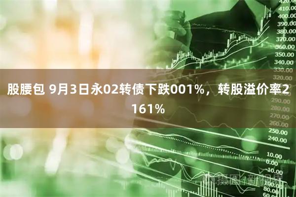 股腰包 9月3日永02转债下跌001%,转股溢价率2161%