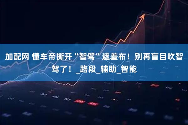 加配网 懂车帝撕开“智驾”遮羞布！别再盲目吹智驾了！_路段_辅助_智能